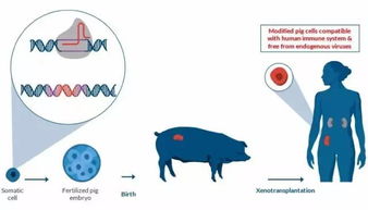 美女科学家荣膺全球青年领袖，细胞技术研发获3800万美元A轮融资